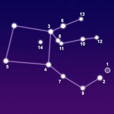 knowt flashcard image