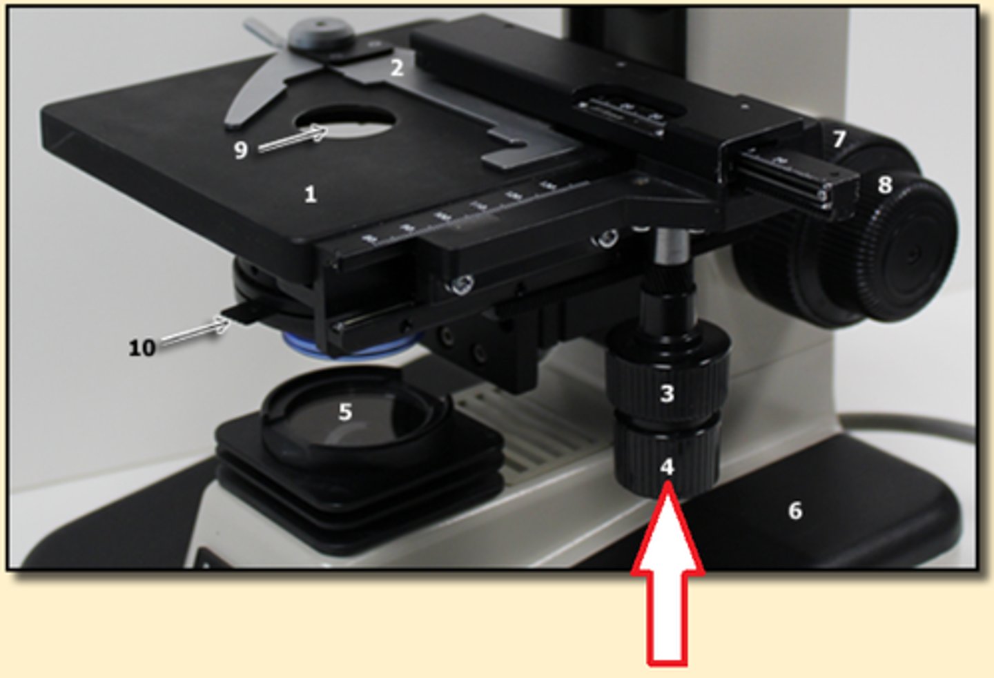 <p>Controls that move the stage for focusing.</p>
