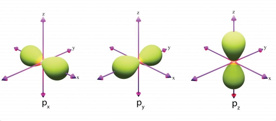 <ul><li><p>electron cloud shape of dumb-bell</p></li><li><p>one orbital can hold up 2e-</p></li><li><p>the subshells (px, py, pz) hold 6e-</p></li><li><p>greater shell no. the further the p-orbital is from the nucleus</p></li></ul><p></p>