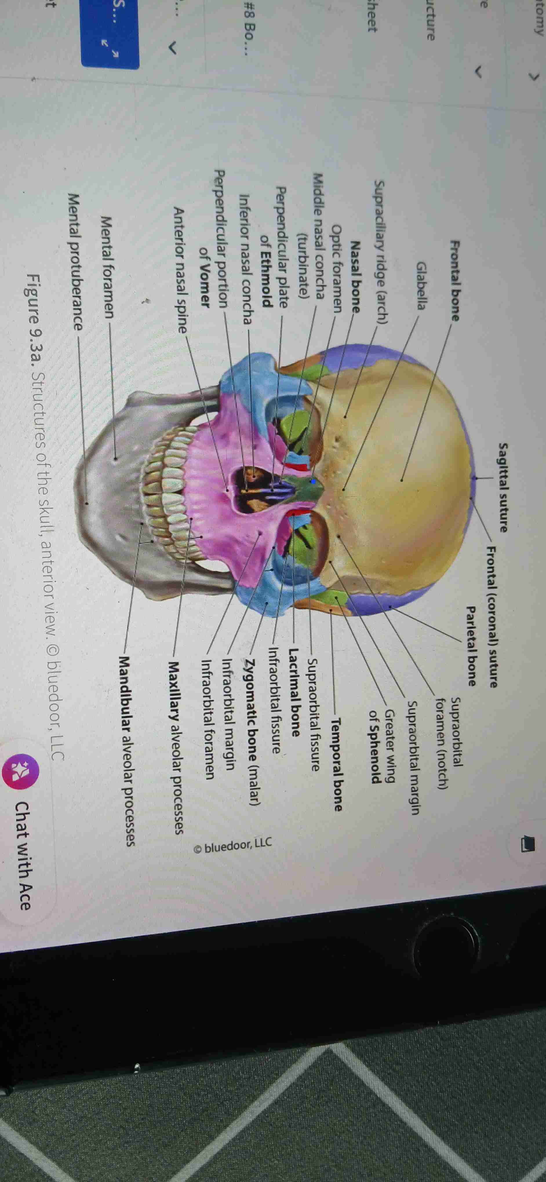 knowt flashcard image