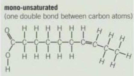 <p>One double bond between carbon atoms.</p>
