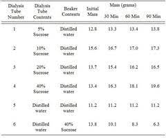 A net movement of water into the beaker occurs in which of the following dialysis tubes?