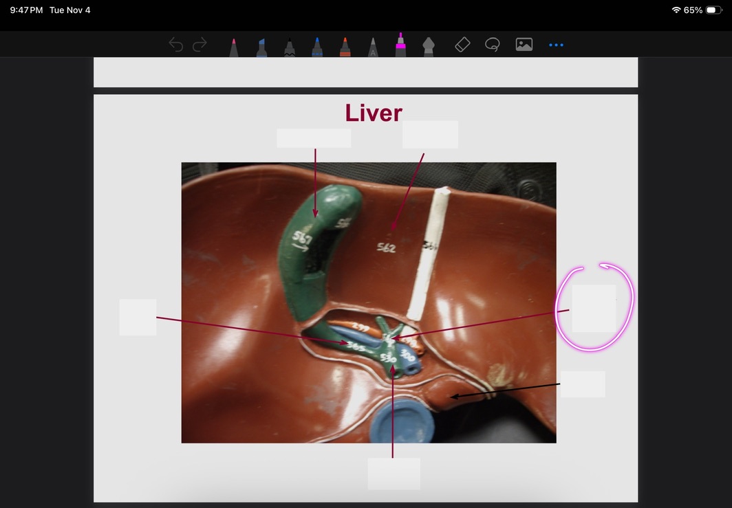 <p>What is this?</p>