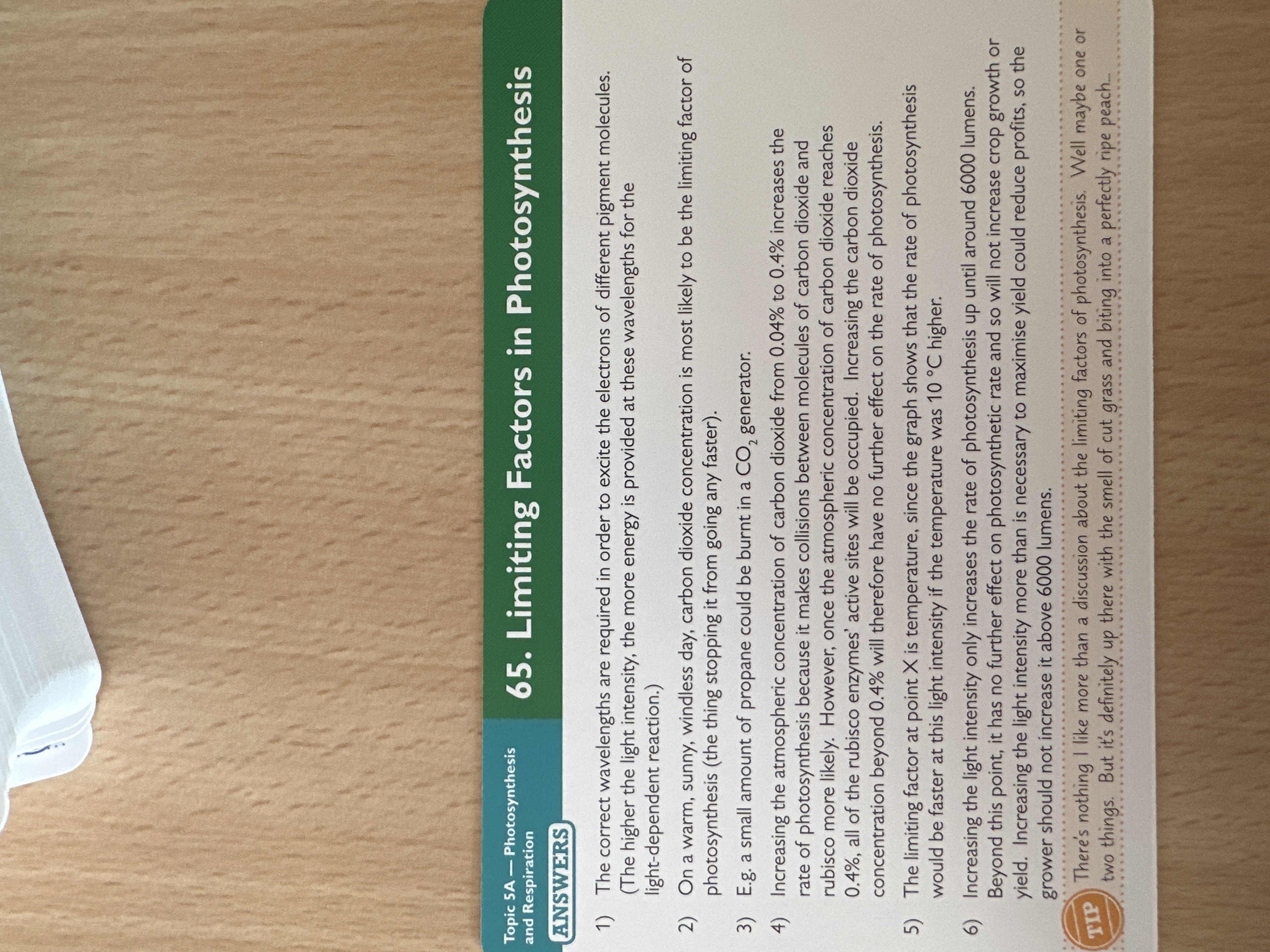 knowt flashcard image