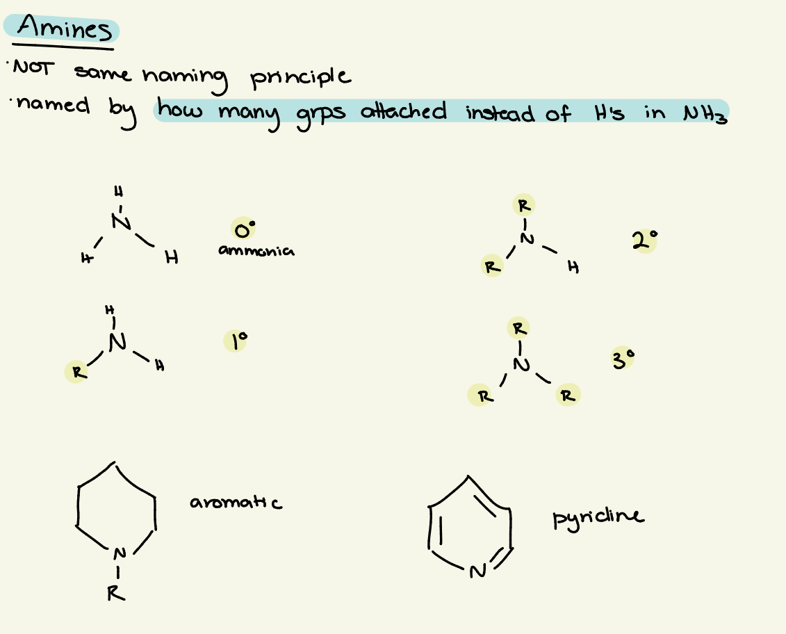 <p>named by how many groups (NOT H) are attached to N</p><p></p><p>0<sup>o</sup> — NH3 (ammonia)</p><p>1<sup>o </sup>— NRH2</p><p>2<sup>o</sup> — NR2H2</p><p>3<sup>o</sup> — NR3</p>