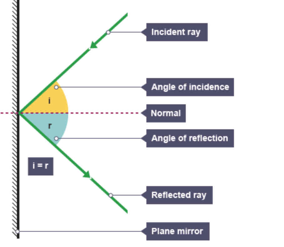 <p>Labels should include: incident ray, reflected ray, plane mirror, normal, angle of incidence, angle of reflection</p>