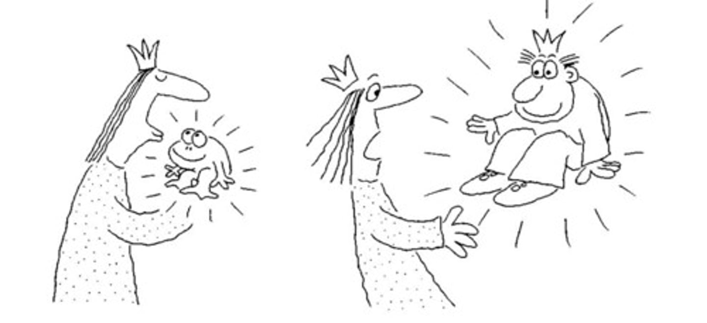 <p>underlying plot line created to place the characters in conflict with themselves or others</p>