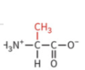 <ul><li><p>nonpolar side chain </p></li><li><p>hydrophobic</p></li><li><p>no H-bond</p></li></ul><p></p>