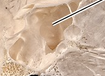 <p>What is the name of this bone in the skull?</p>