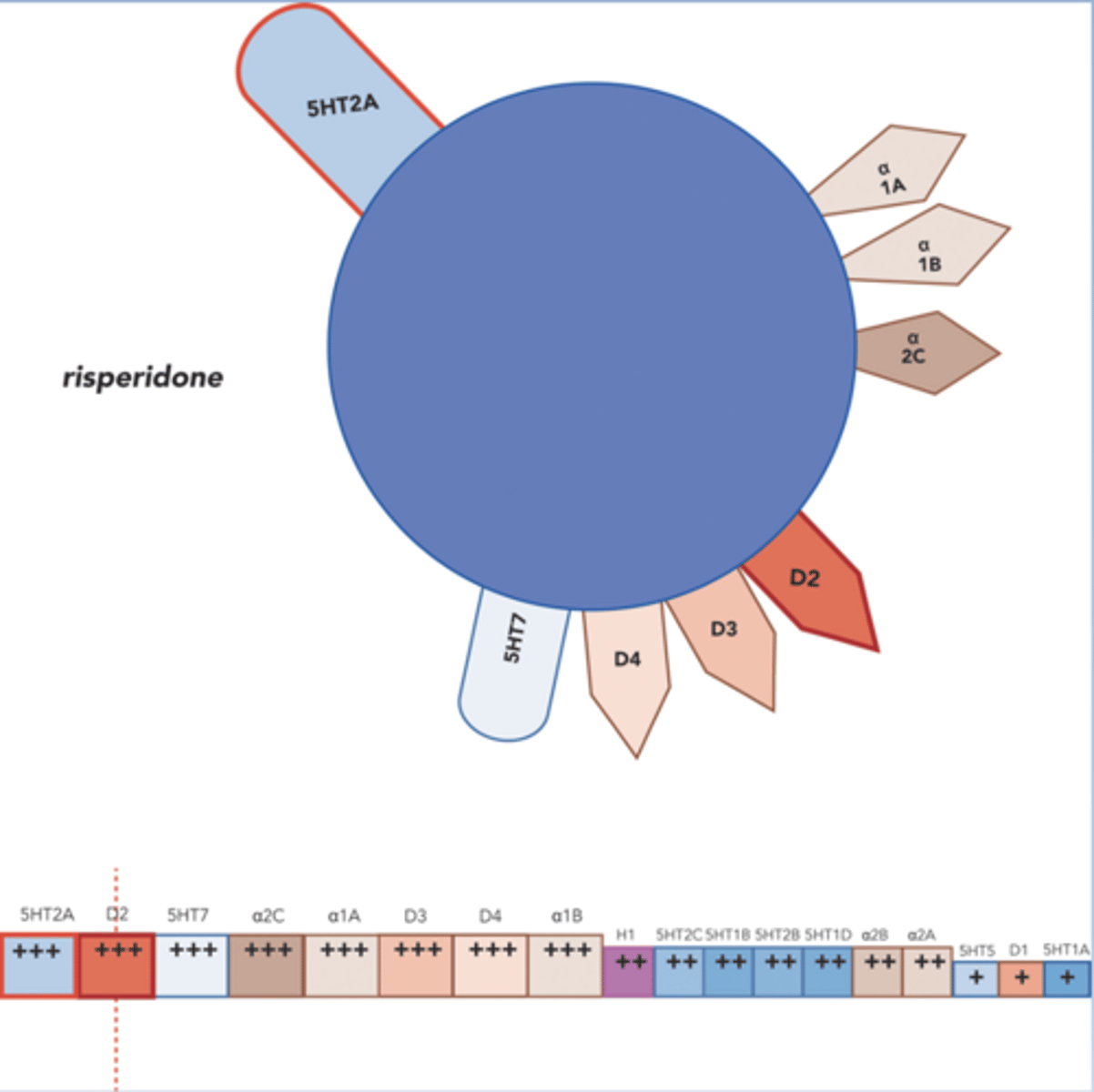 <p>-Most typical of the atypicals</p><p>-Low to moderate doses, no EPS side effects</p><p>-Moderate to high doses can produce EPS side effects</p><p>-Minimal anticholinergic effects and orthostatic hypotension on the first dose</p><p>-Insomnia, agitation, anxiety</p><p>-Less weight gain than clozapine</p>
