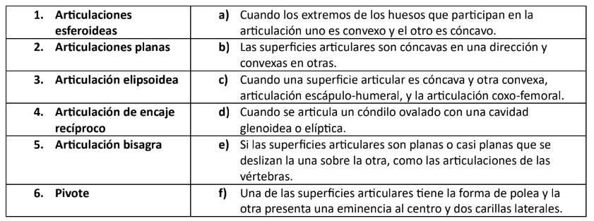 <p>10. Empareja las siguientes articulaciones según la forma de las superficies articulares.</p><p>A) 1b, 2f, 3a, 4e, 5c, 6d</p><p>B) 1d, 2a, 3b, 4f, 5e, 6c</p><p>C) 1e, 2c, 3f, 4a, 5d, 6b</p><p>D) 1c, 2e, 3d, 4b, 5f, 6a</p>