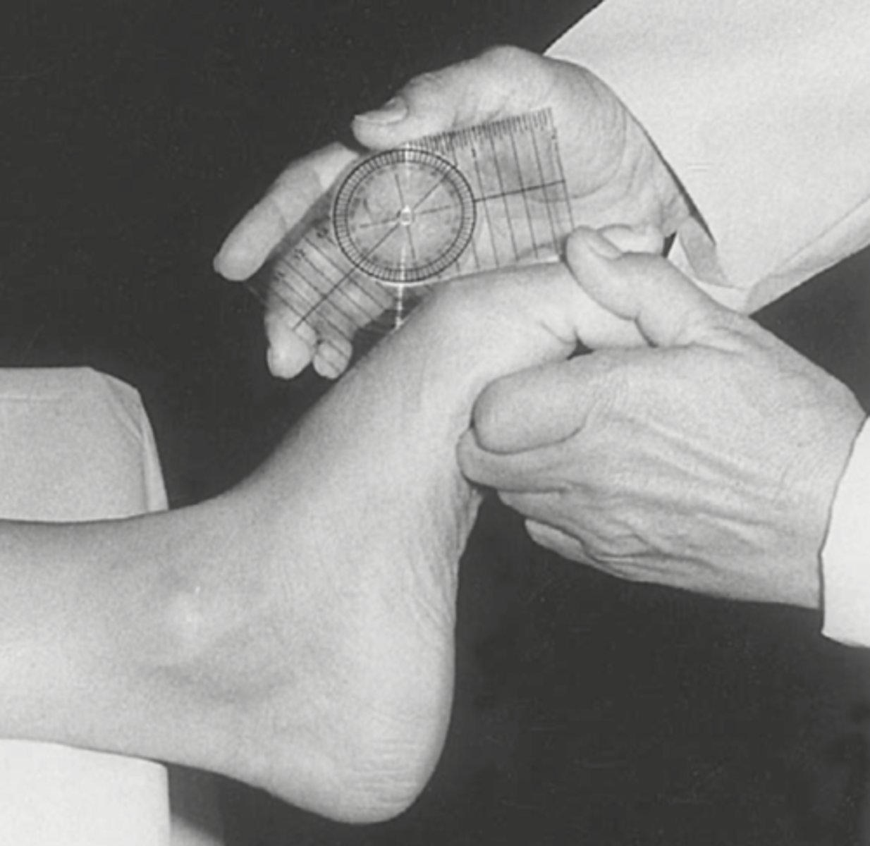 <p>MTP1: 45</p><p>MTP2-5: 40</p>