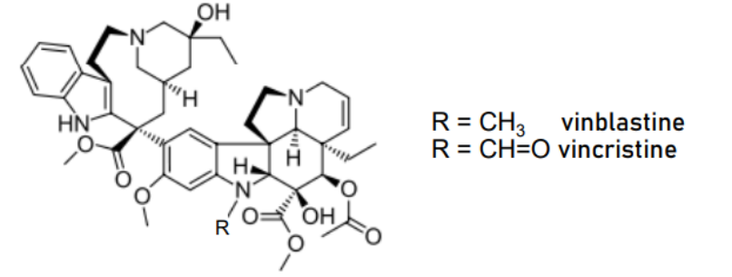 <p>T/F: Vinca alkaloids are dimeric</p>