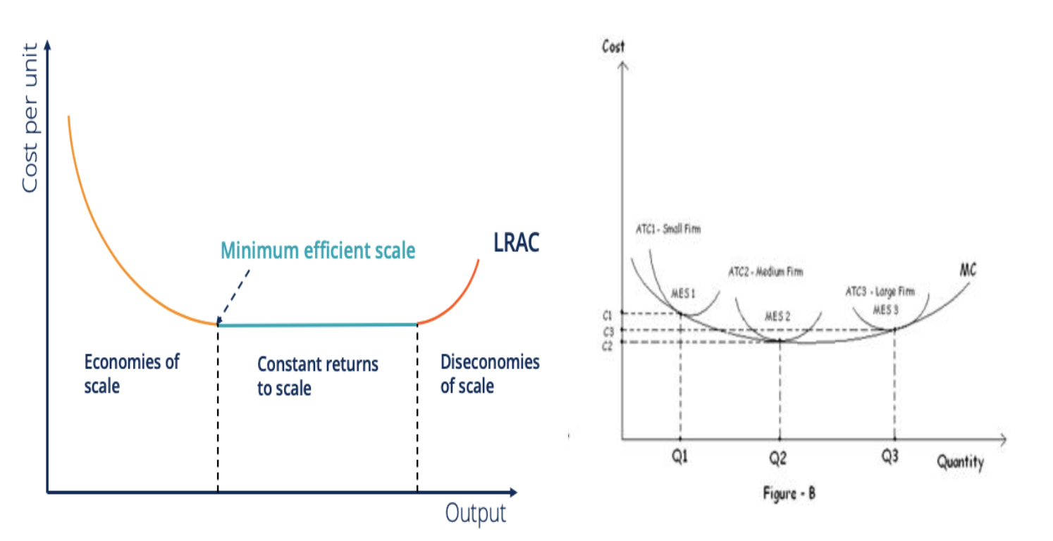 <p>The Minimum Efficient Scale (MES) is the level of production at which a firm achieves the lowest possible long-run average cost per unit of output. In other words, it is the point at which economies of scale are fully realised, and any further increase in production would result in diseconomies of scale.</p><p>When a firm operates at or near its MES, it can produce goods or services at the lowest cost, making it highly competitive. Firms that operate below their MES may not be able to compete effectively due to higher production costs, while those operating above it may experience inefficiencies and increased costs.</p><p>On diagram: The lowest point on a firm's long-run average cost curve. </p><p></p>