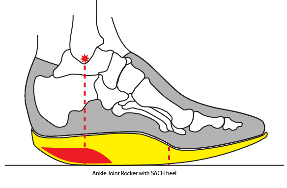 <p>absorb more impact and limit ankle and tarsal motion better; it will make the transition between heel strike to foot-flat slower.</p>