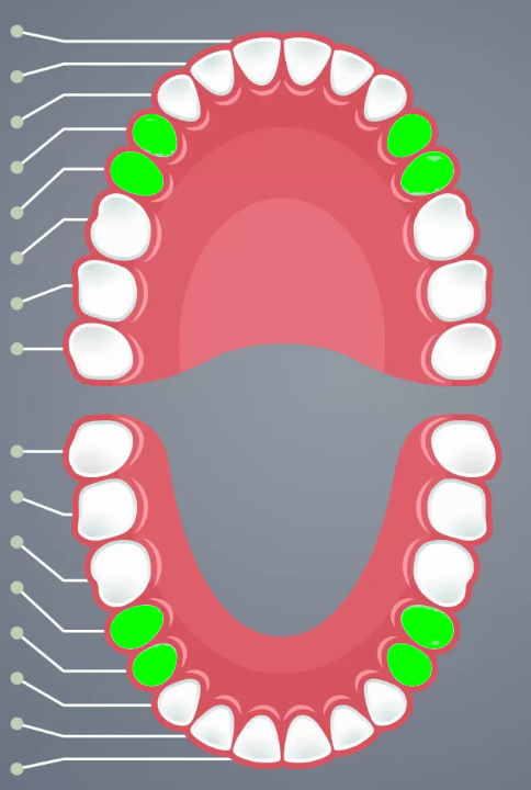 knowt flashcard image