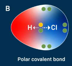 <p>strong bonds formed when atoms share electrons equally, resulting in the formation of molecules</p>