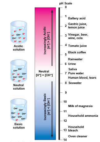 <ul><li><p>acidic solutions: pH less than 7</p></li><li><p>basic solutions: pH greater than 7</p></li><li><p>most biological fluids have pH values in the range of 6 to 8</p></li></ul><p></p>