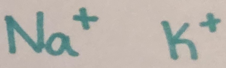 * impulso nervoso
* equilíbrio osmótico (sal e água)