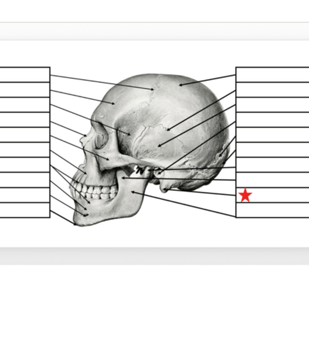<p>What is this?</p>