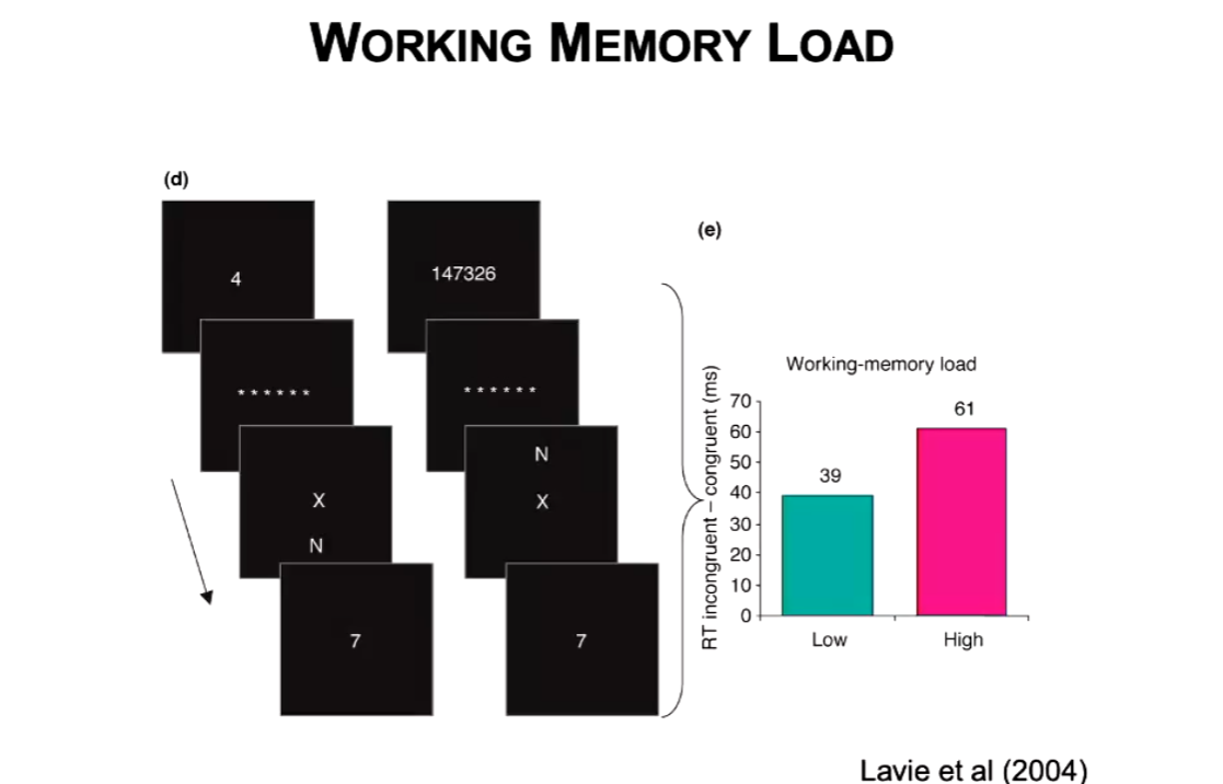 <ul><li><p>Remembering 1 digit task vs 8 digit task - remember number first, then do task, then attempt to recall number</p></li><li><p>Found if working memory is loaded, you will be more likely to make mistakes and be distracted</p></li></ul><p></p>