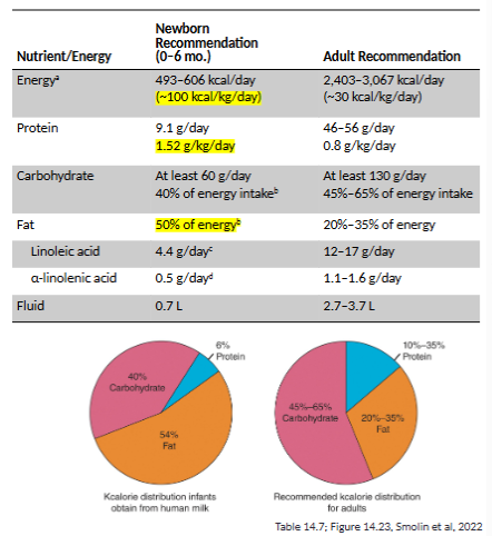 <ul><li><p>higher percent of fats than adults</p></li><li><p>almost double amount of protein relative to adult</p></li><li><p>water intake is critical (high surface area: volume ratio)</p></li></ul><p></p>