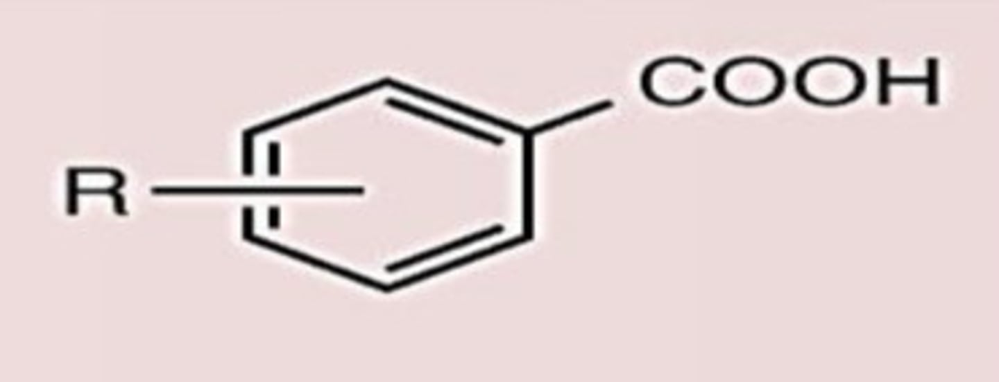 <p>Conj. Acid</p>