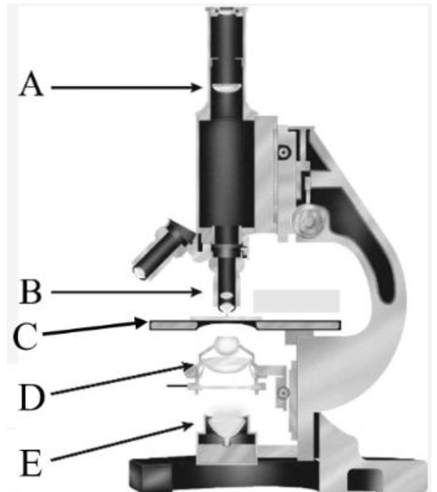 <p>What is E?</p>