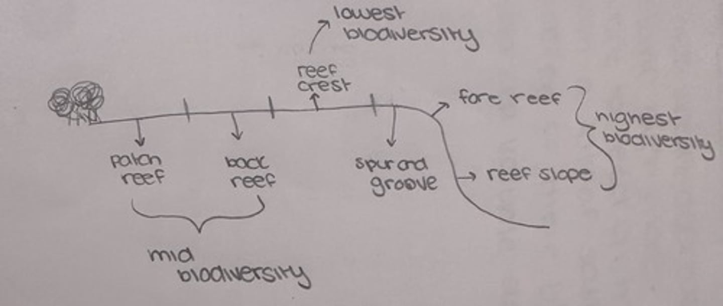 <p>The reef crest has the lowest biodiversity, and the reef slope has the highest</p>