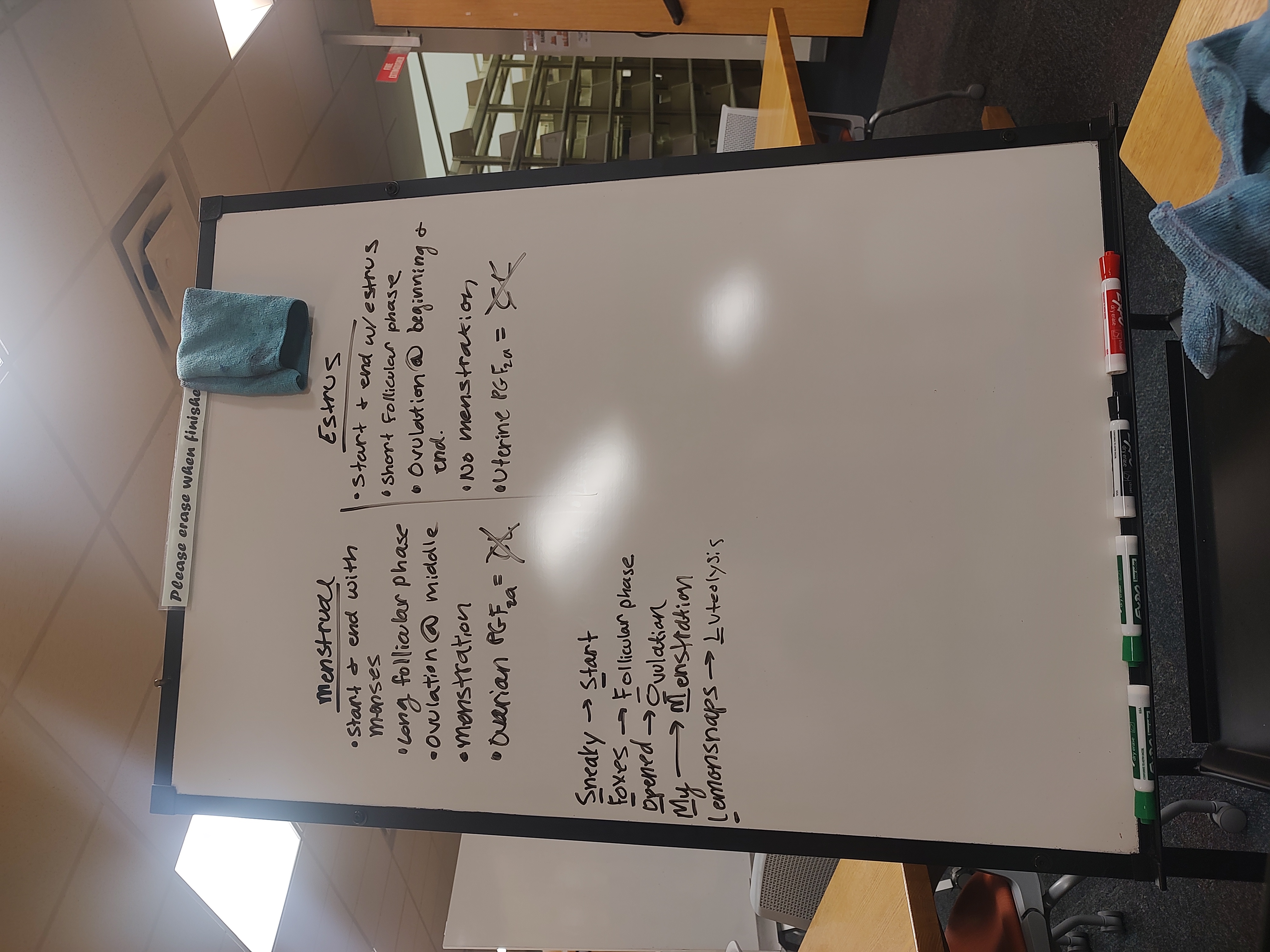 <p>Sneaky <br>Foxes<br>Opened<br>My<br>Lemonsnaps</p>