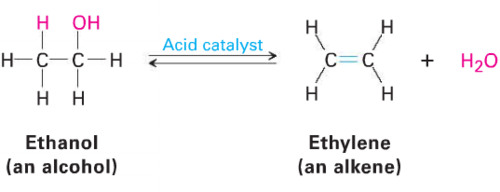 <ul><li><p>Atoms are removed from a molecule to form double bonds</p></li><li><p>Reverse of addition</p></li></ul><p>TO RECOGNIZE: One reactant breaks into two products</p><p>ALCOHOLS undergo elimination reactions in the presence of a strong acid (H2SO4)</p><p>HALOALKANES undergo elimination to produce an alkene when they react with a strong base (NaOCH2CH3)</p><ul><li><p>Isomers are commonly made (structural) and geometric (cis and trans)</p></li></ul>