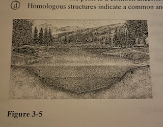You take a sample of species from the area labeled A in Figure 3-5. What would you expect to find?