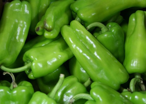 are long and narrow. Their shapes are irregular and uneven on the sides, as if they are twisted around. They can come in green-red-orange-yellow varieties as well. They have green tops and short green stems. They look shiny at first appearance.