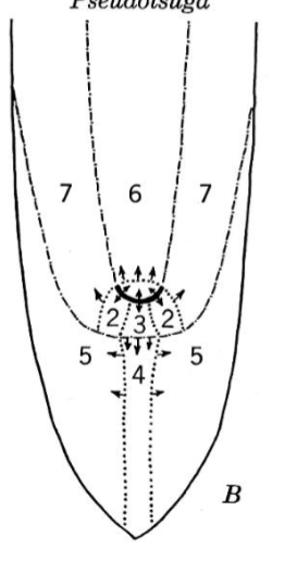 <p>name the regions</p>