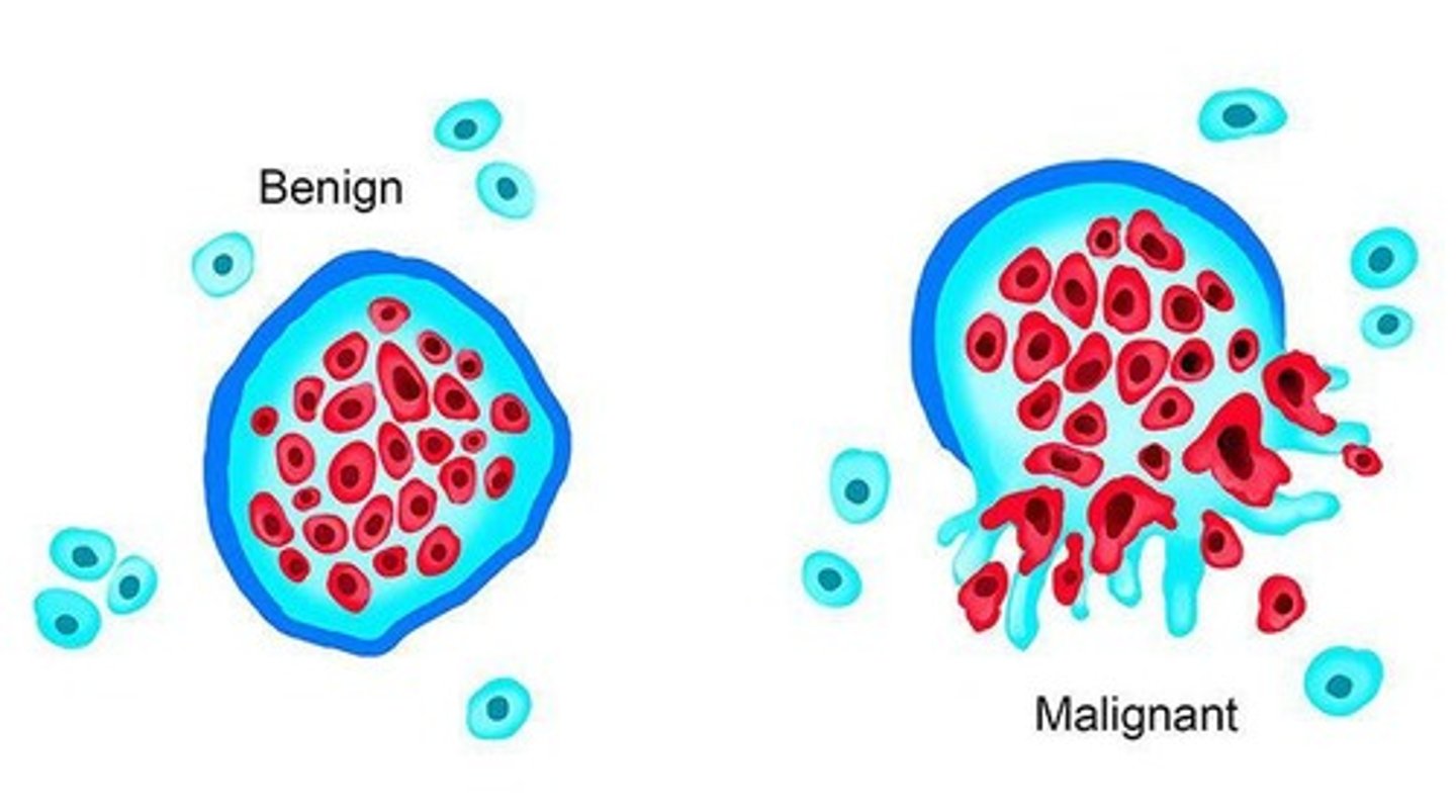 <p>Genetic mutations in normal cells lead to uncontrolled growth, impaired differentiation, and potential metastasis.</p>