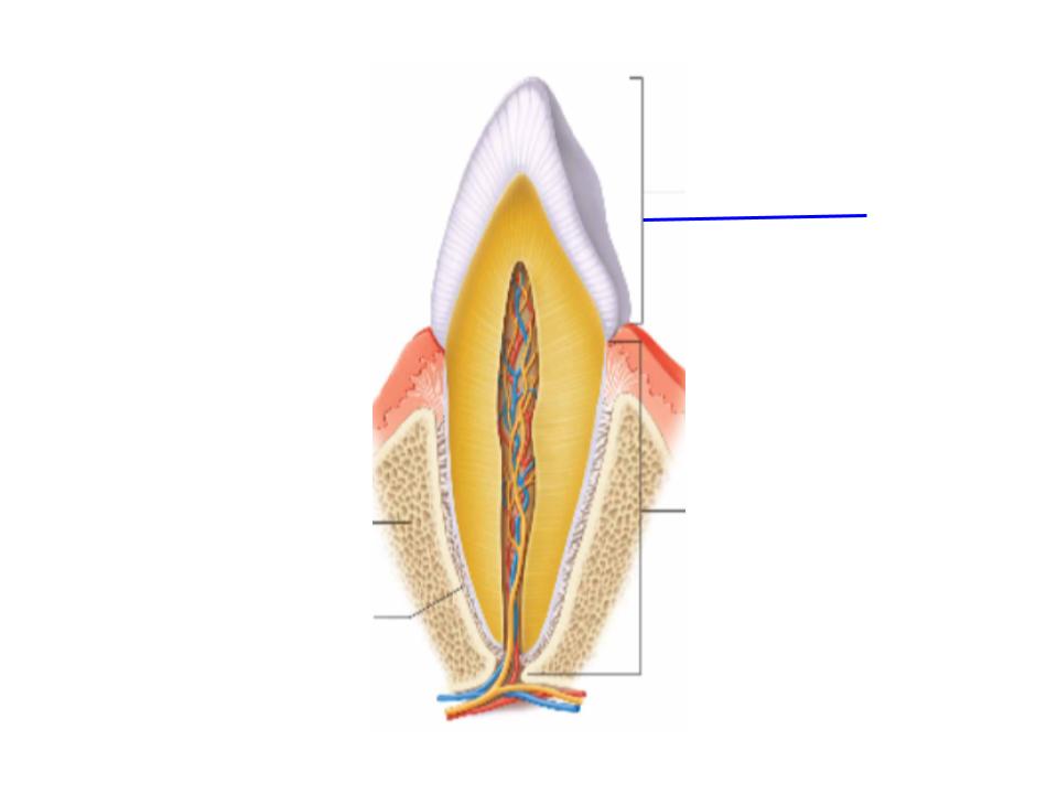 <p>What is this image pointing at? </p>