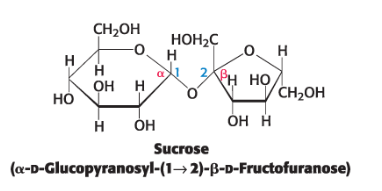<p><span style="color: rgb(0, 0, 0)">Disaccharide of sugar cane or sugar beets that consists of glucose linked to fructose</span></p><ul><li><p><span style="color: rgb(0, 0, 0)">anomeric carbon of glucose is linked to the anomeric carbon of fructose</span></p></li><li><p><span style="color: rgb(0, 0, 0)">the configuration is α for glucose and β for fructose<br>– not a reducing sugar<br>– can be cleaved by sucrase (invertase)</span></p></li></ul><p></p>