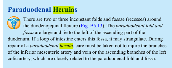 <p>there are two or three inconstant folds and fossae (recesses) around the duodenal flexure. the paraduodenal fold are large and lie to the left of the ascending part of the duodenum. </p><p>if a loop of intestine enters this fossa, it may strangulate: this is the paraduodenal hernia</p>