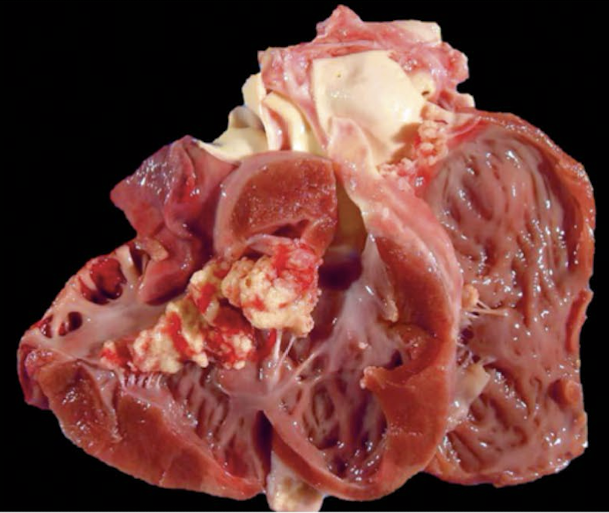 <p>What is this showing?</p>