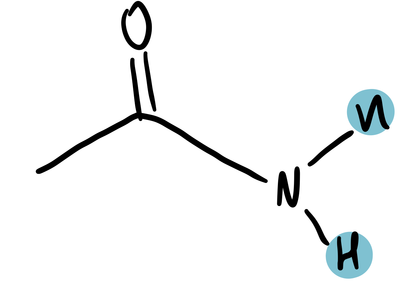 <p>amide</p>