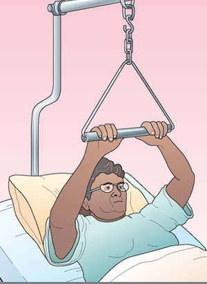 <p><span style="background-color: transparent;"><span>Trapeze</span></span></p>