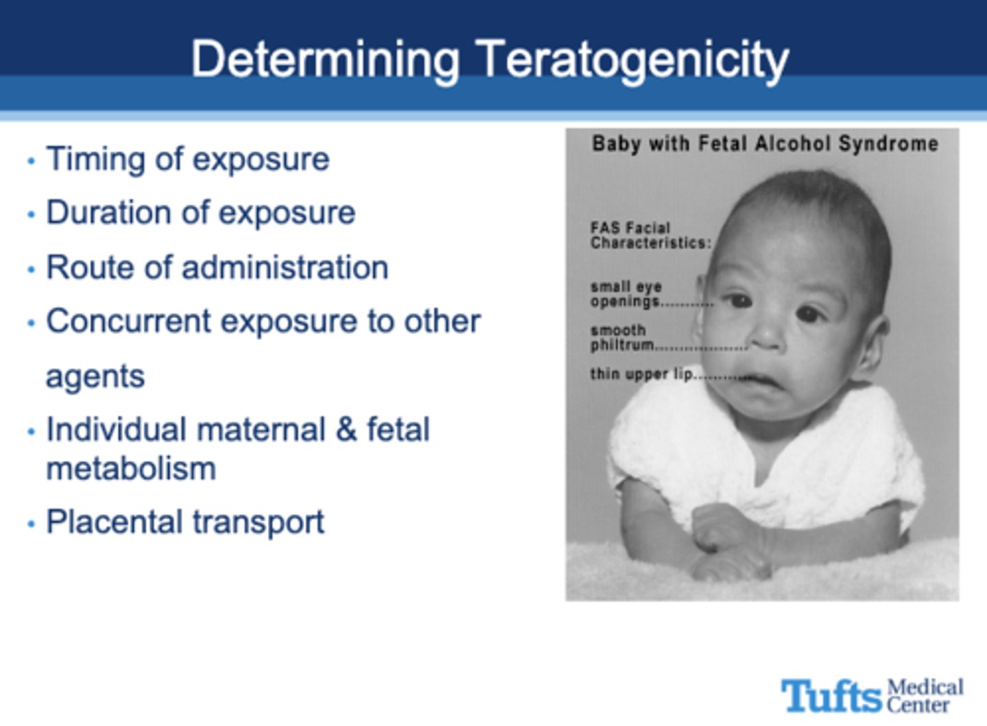 <p>Teratogenicity</p>