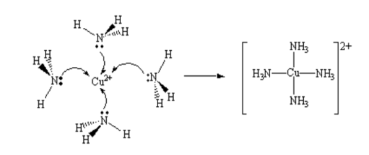 <p>The positive charge density of the metal ions is so great, <strong>it attracts the electron pairs of nearby molecules and ions.</strong> This results in the formation of a <strong>coordinate covalent bond</strong>  between the metal ion and the ion/molecule (now called a ligand)</p>