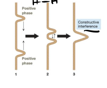 <p>Combination of in-phase waves (atomic orbitals), leading to an increase in electron density between the nuclei and resulting in a bonding molecular orbital.</p>