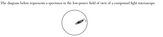 <p>The diagram below represents a specimen in the low-power field of view of a compound light microscope.</p><p></p><p>If the slide is not moved, which view best represents the way the specimen will look when the high-power objective lens is switched into place?</p>