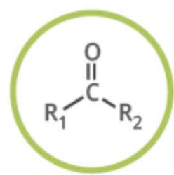 <p>Name the functional group</p>