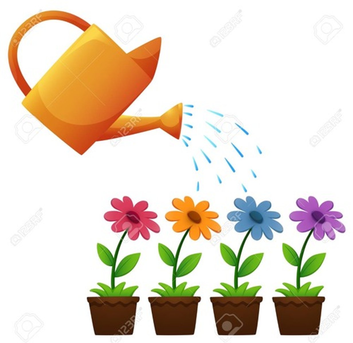 <p>to water the flowers</p>