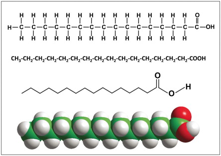 <p>a chain of CH<sub>2</sub> with a carboxyl group that reacts with glycerol making ester bonds</p>