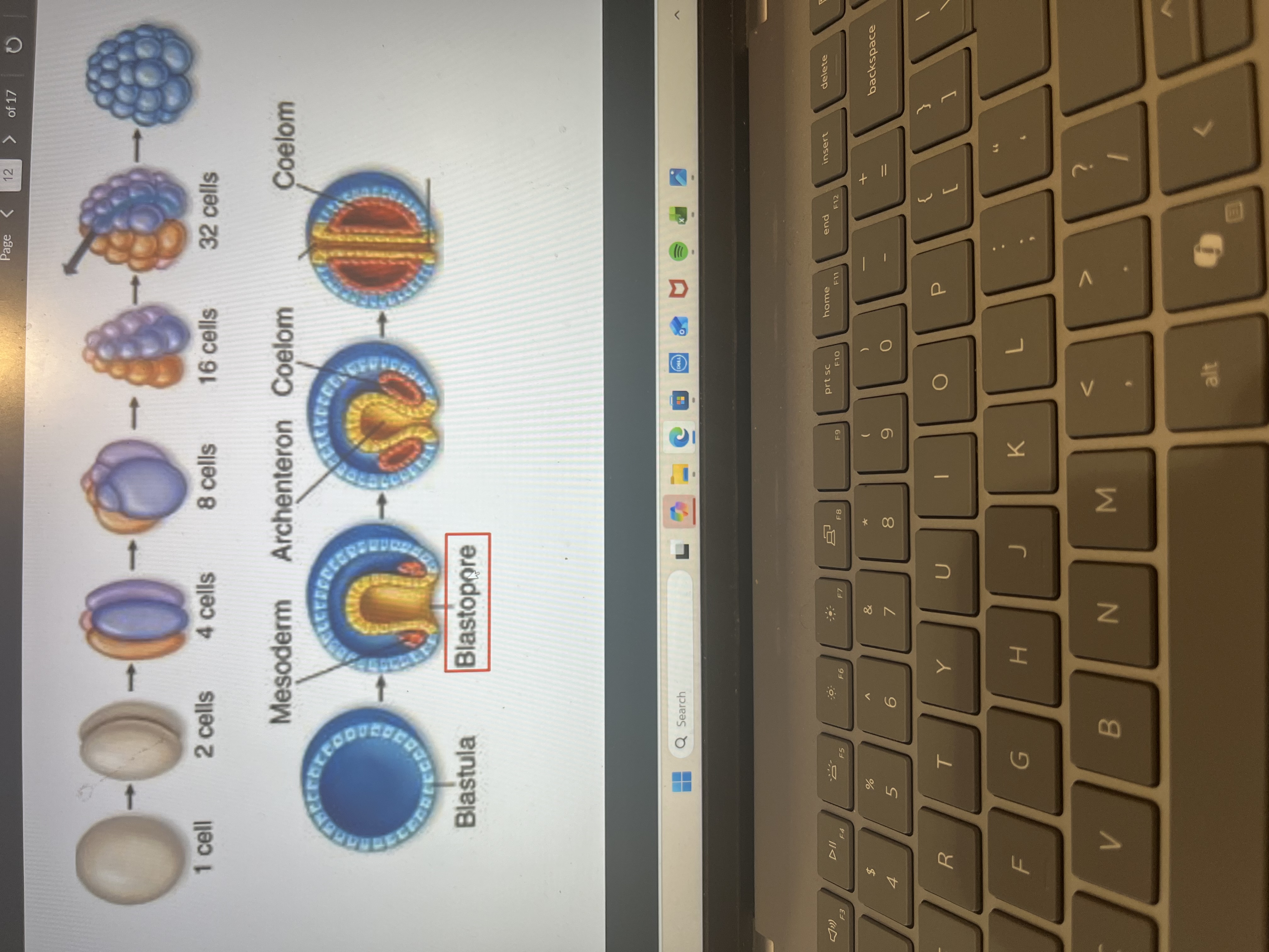 knowt flashcard image