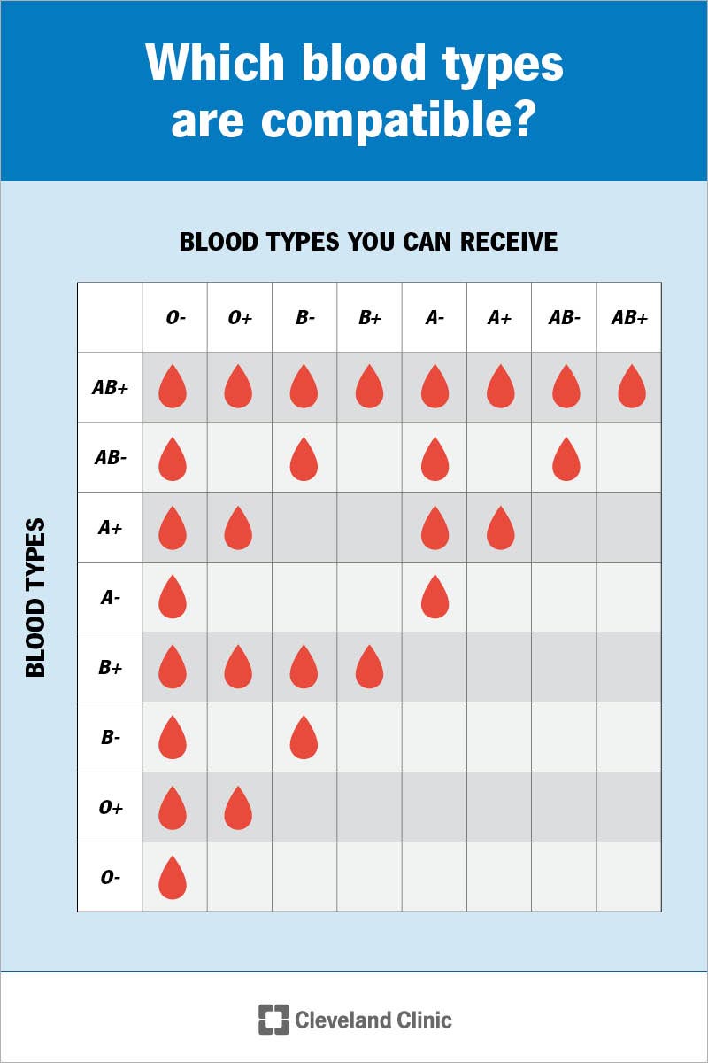 <p>O can donate to anyone, can only receive O</p><p>A can donate to A and AB, but only receive A and O</p><p>B can donate to B and AB, but receive from B and O</p><p>AB can donate to AB, but can receive from anyone</p><p>pos Rh can donate to Rh+, can receive both Rh+ and -</p><p>neg Rh can donate to Rh+ and -, only receive Rh-</p>